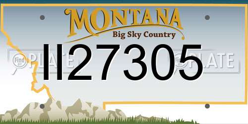 II27305 Montana License Plate