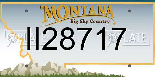 II28717 Montana License Plate