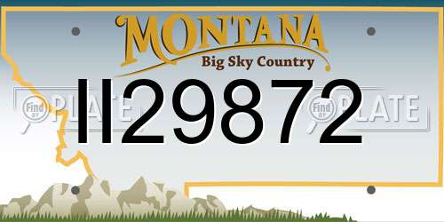II29872 Montana License Plate