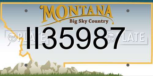 II35987 Montana License Plate