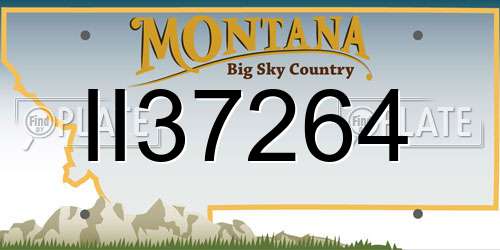 II37264 Montana License Plate