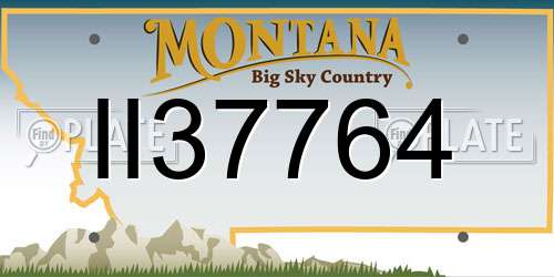 II37764 Montana License Plate