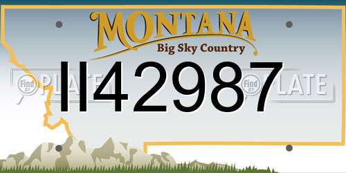 II42987 Montana License Plate