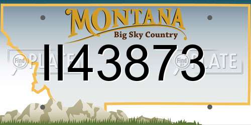 II43873 Montana License Plate