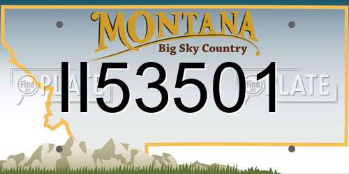 II53501 Montana License Plate