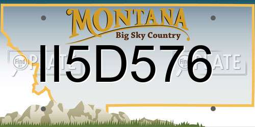 II5D576 Montana License Plate