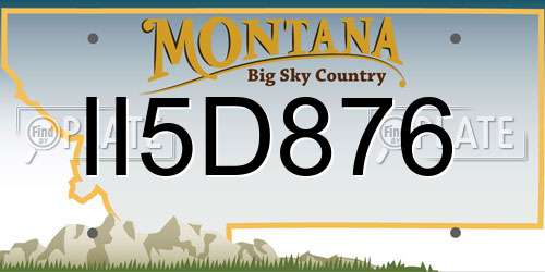 II5D876 Montana License Plate