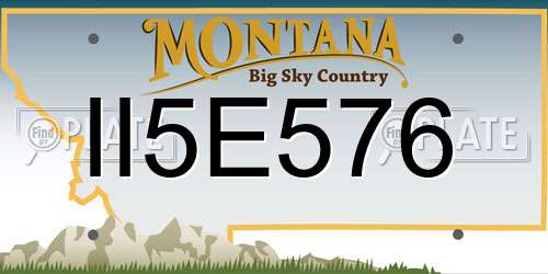 II5E576 Montana License Plate