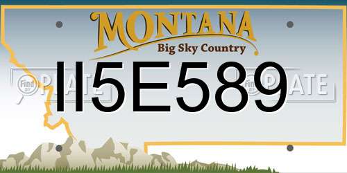 II5E589 Montana License Plate
