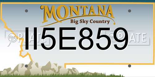 II5E859 Montana License Plate