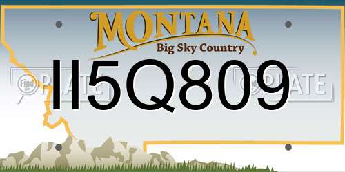 II5Q809 Montana License Plate
