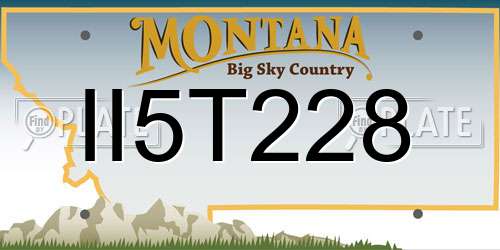 II5T228 Montana License Plate