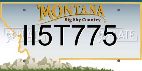 II5T775 Montana License Plate