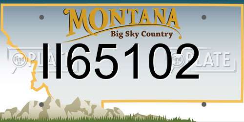 II65102 Montana License Plate