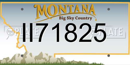 II71825 Montana License Plate