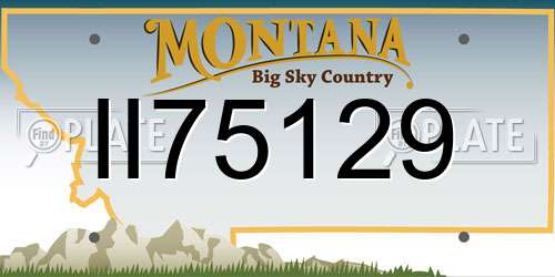 II75129 Montana License Plate
