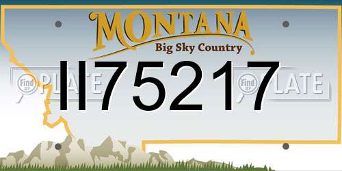 II75217 Montana License Plate