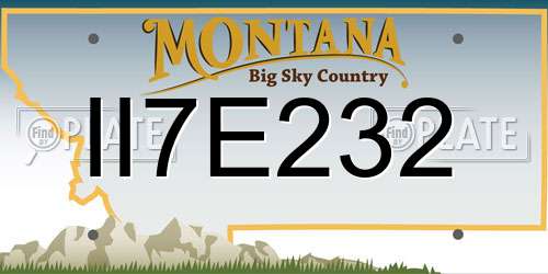 II7E232 Montana License Plate