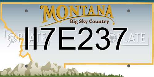 II7E237 Montana License Plate
