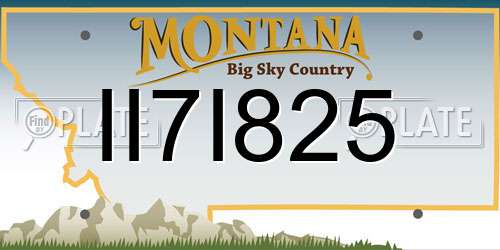 II7I825 Montana License Plate