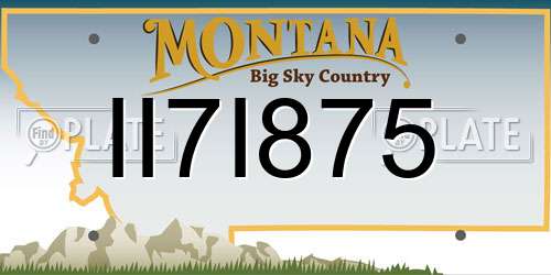 II7I875 Montana License Plate