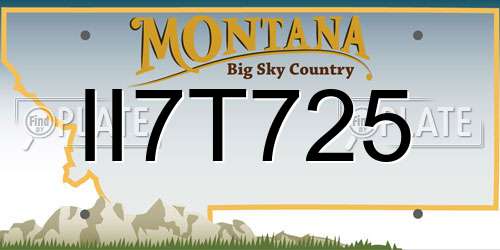 II7T725 Montana License Plate