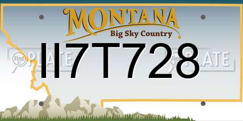 II7T728 Montana License Plate
