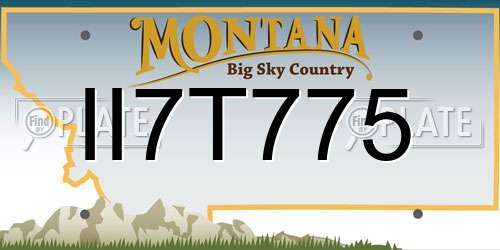 II7T775 Montana License Plate