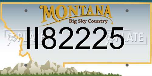 II82225 Montana License Plate