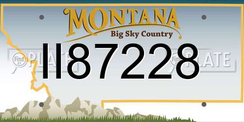 II87228 Montana License Plate