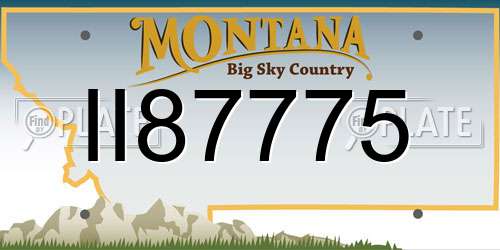 II87775 Montana License Plate
