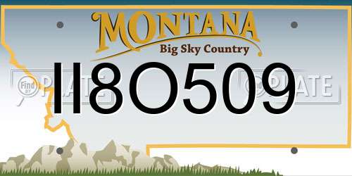 II8O509 Montana License Plate