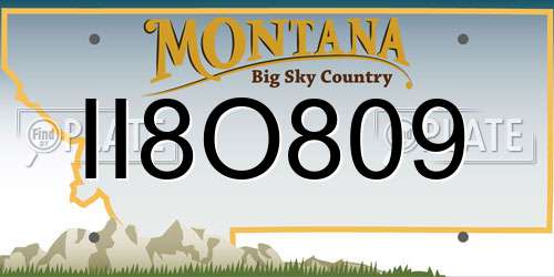 II8O809 Montana License Plate