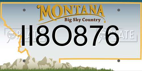 II8O876 Montana License Plate