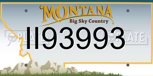 II93993 Montana License Plate