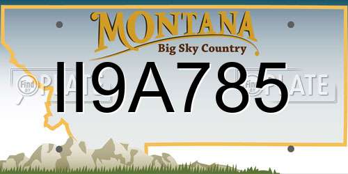 II9A785 Montana License Plate