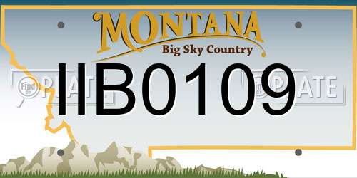 IIB0109 Montana License Plate