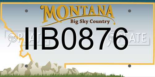 IIB0876 Montana License Plate