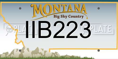 IIB223 Montana License Plate