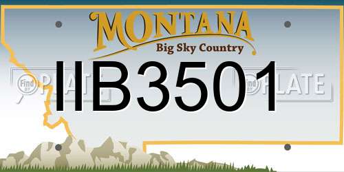 IIB3501 Montana License Plate