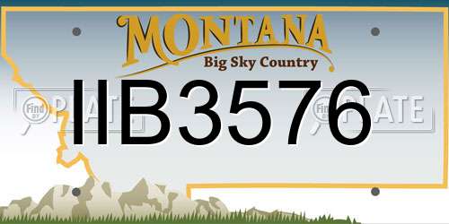 IIB3576 Montana License Plate