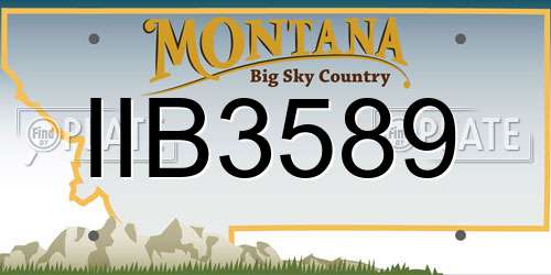 IIB3589 Montana License Plate