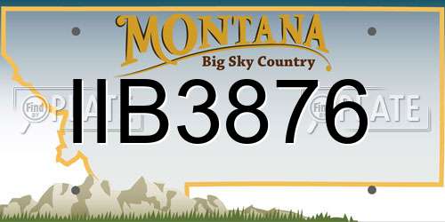 IIB3876 Montana License Plate