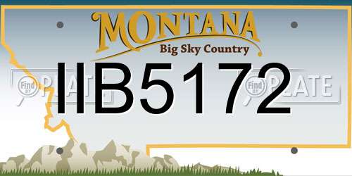 IIB5172 Montana License Plate