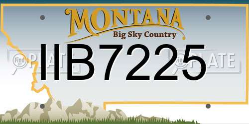 IIB7225 Montana License Plate