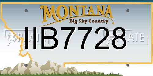 IIB7728 Montana License Plate