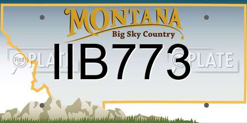 IIB773 Montana License Plate
