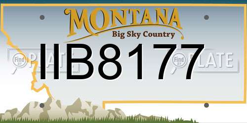 IIB8177 Montana License Plate