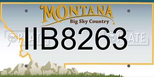IIB8263 Montana License Plate