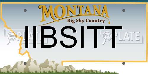 IIBSITT Montana License Plate